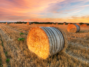 Groundsure Agricultural - sample image