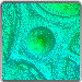 View WITHDRAWN - EA LIDAR DTM 0.5m