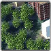 View Bluesky National Tree Map V2