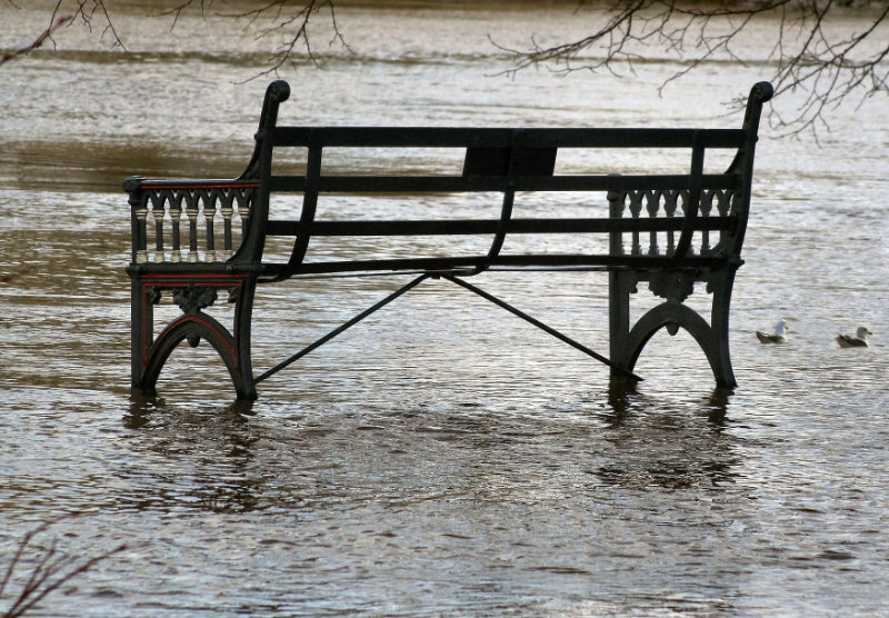 Park bench in flood