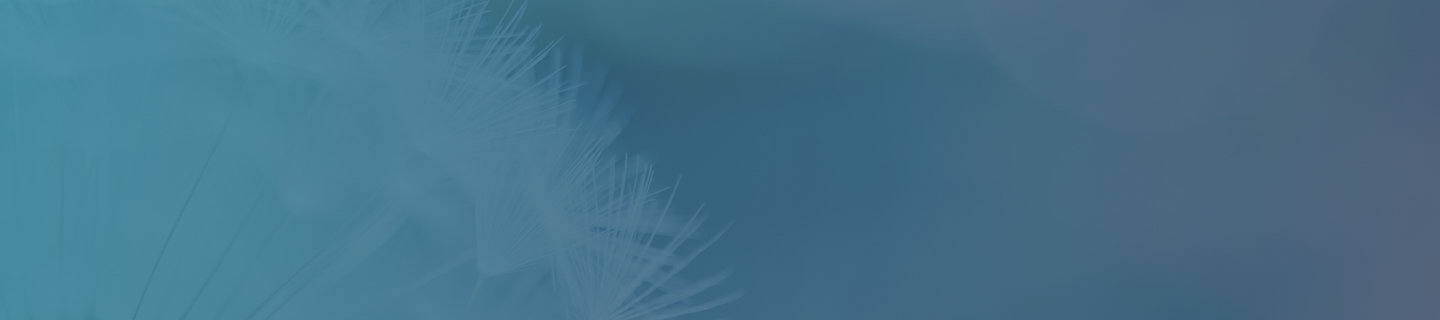 Teal banner with dandelion