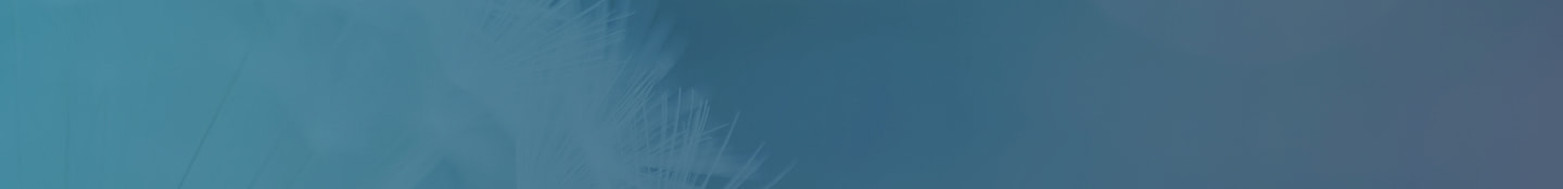 Dandelion banner in teal